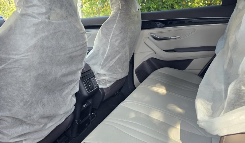 بی وای دی سانگ پلاس 2025 full